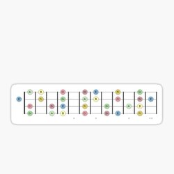 Ukulele Fretboard B Major Scale 12 Frets - Music Theory Design