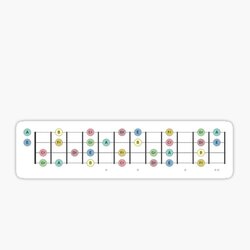 Ukulele Fretboard E Major Scale 12 Frets - Music Theory Design