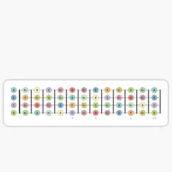 Ukulele Fretboard - All Chromatic Notes up to Fret 12